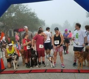 doggies for duchenne 5k start